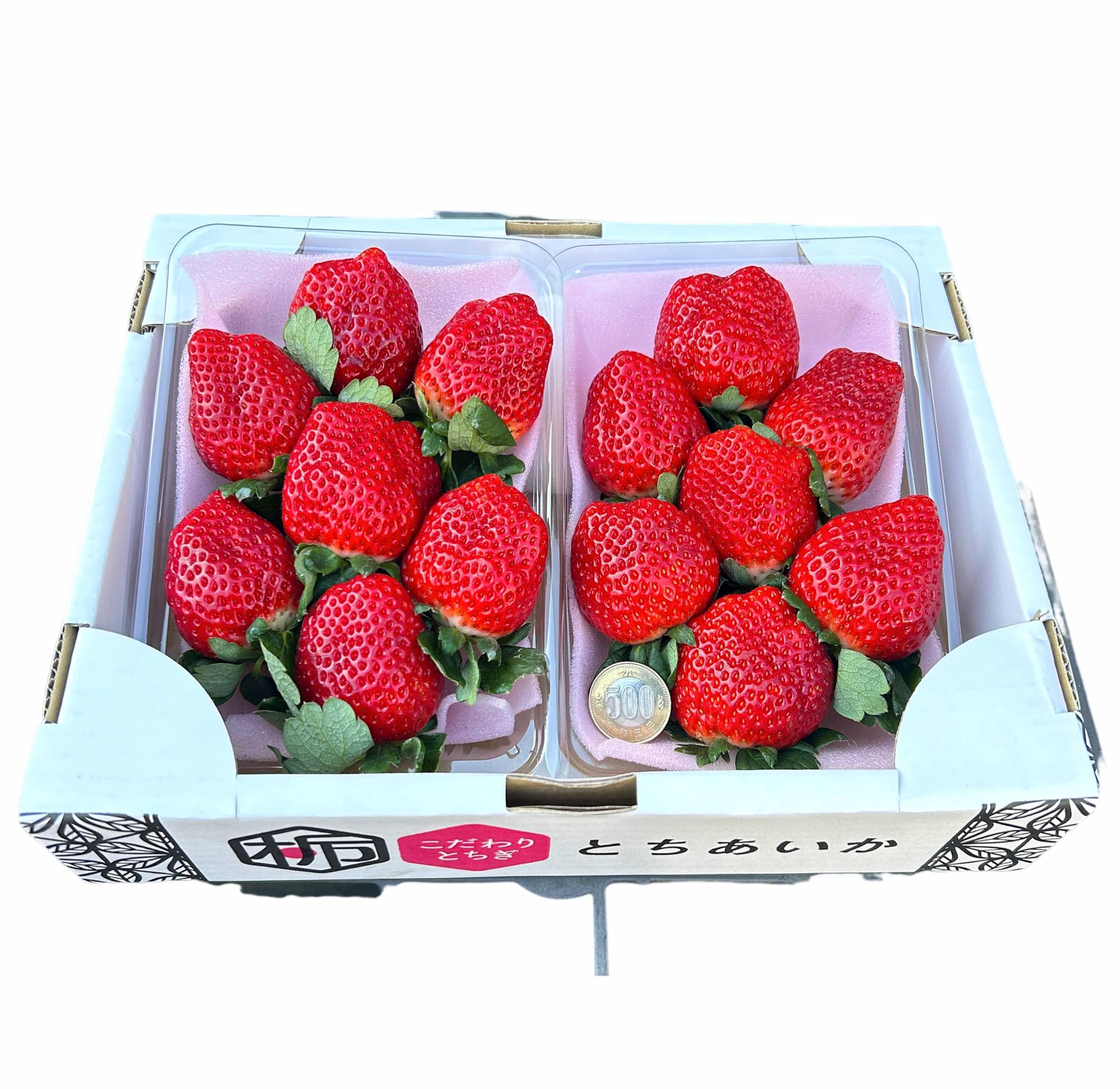 Amazon.co.jp: 特上ランク【 高級いちごギフト】糖度:12度前後 栃木県